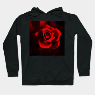 Red rose on red Hoodie